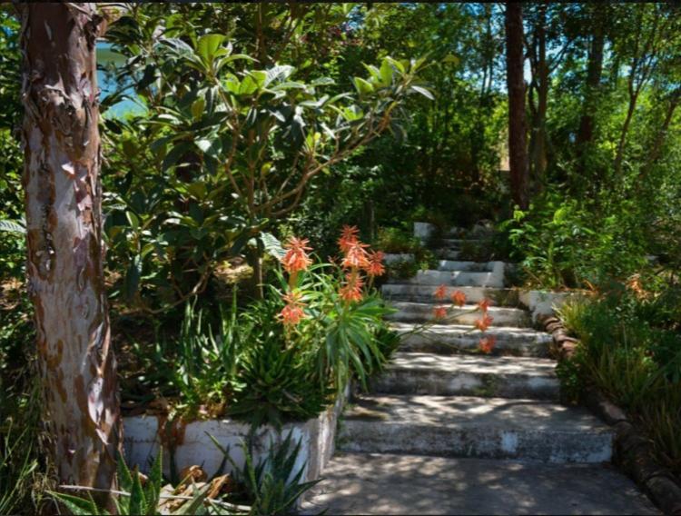 La Barranca De La Barca Bed & Breakfast Alora Bagian luar foto