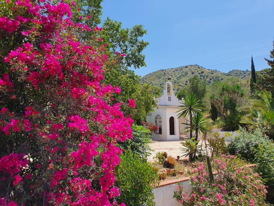 La Barranca De La Barca Bed & Breakfast Alora Bagian luar foto