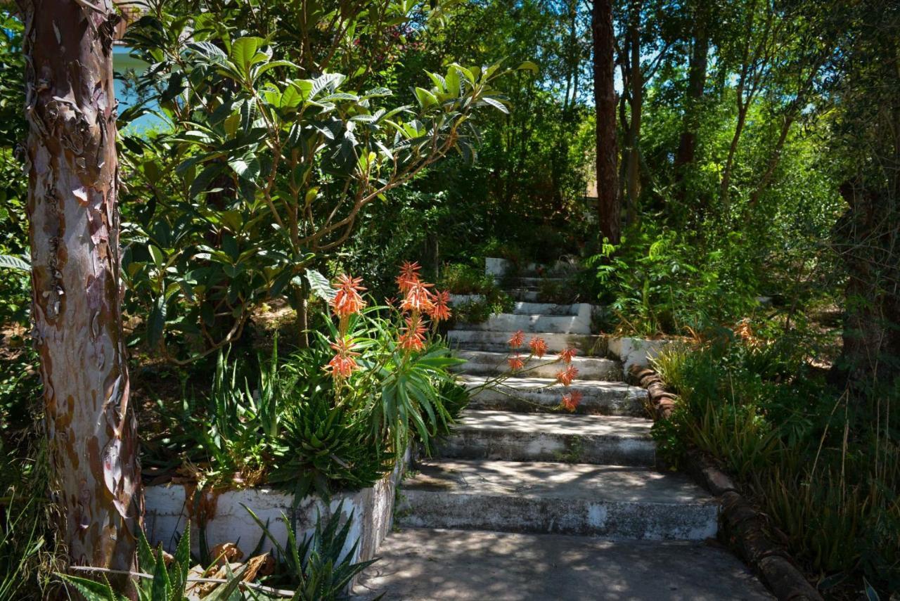 La Barranca De La Barca Bed & Breakfast Alora Bagian luar foto